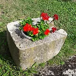 Koraca