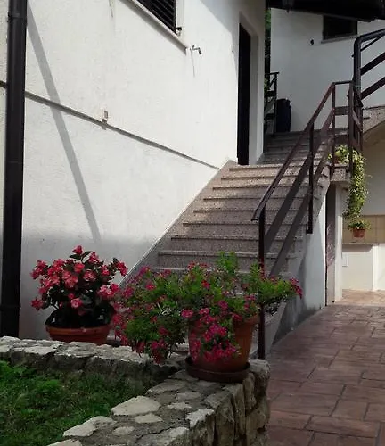 Koraca